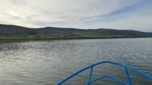 The blue bow railing of a small vessel used during the 2026 tagging efforts in Iceland cuts through the calm waters of Eyjafjörður, with mountains in the background under a partly cloudy sky.
